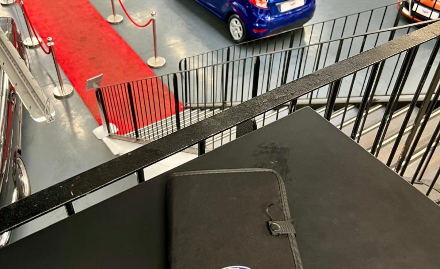 Ford Fiesta Stop&Start Business